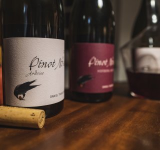 Daniel Twardowski Pinot Noix Mosel