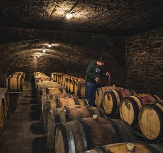 Daniel Twardowski  Mosel Pinot Noix
