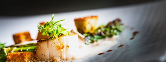 In Nussbutter gebratene Jakobsmuscheln | Coquilles Saint-Jacques In Nussbutter gebratene Jakobsmuscheln, marinierter grüner Spar