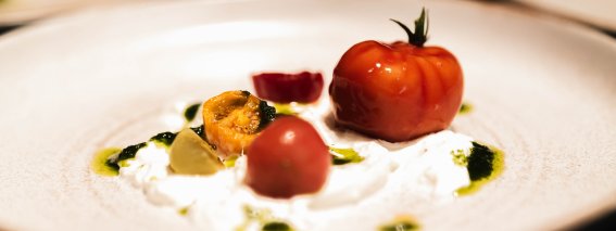 Burrata Tomaten Pesto - Bistro M16 Salzburg