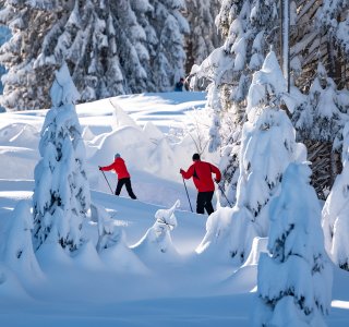 Langlauf Kleinwalsertal