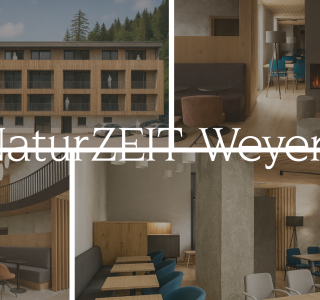 Naturzeit-startseite-fruehlingsgarten