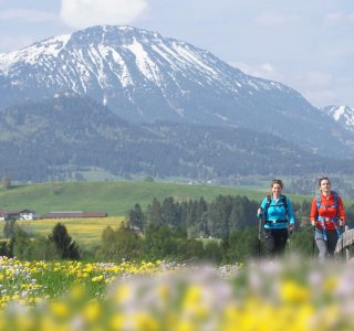 Füssen Wandern Löwenzahn 6(58) ©Füssen Tourismus und Marketing Gerhard Eisenschink