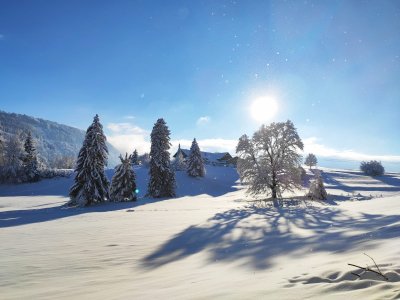Winterlandschaft Gablerhof