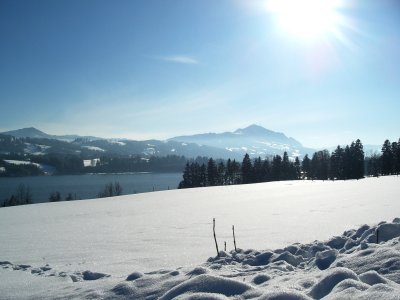 Niedersonthofener See und Grünten