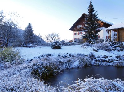 Winter am Schwimmteich