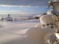 Garten im Winter