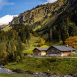Herbst Breitengehren