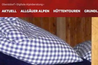 alpininfo