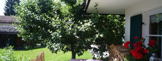 Impressionen