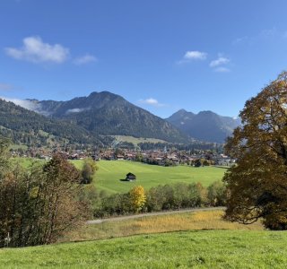 Wandern in den Bergen bei klarem Wetter Menschen wandern in den Bergen. Die Sonne scheint. Viele Bäume sind grün und einige haben gelbe Blätter.