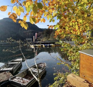 Herbst am Freibergsee Boote liegen an einem ruhigen Ufer. Bunte Blätter fallen von den Bäumen. Die Sonne scheint auf das Wasser.