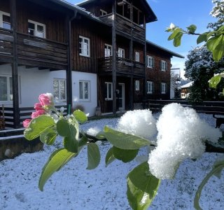 Ansicht vom Garten Richtung Wohnung blau