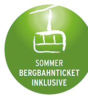 Website-button
