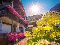 Seitliche Hausansicht