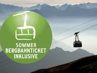 Bergbahntickets 1200