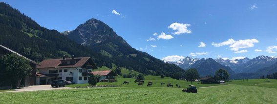 Hemerhof