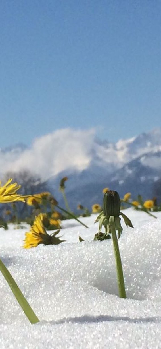 Frühling vor der Türe