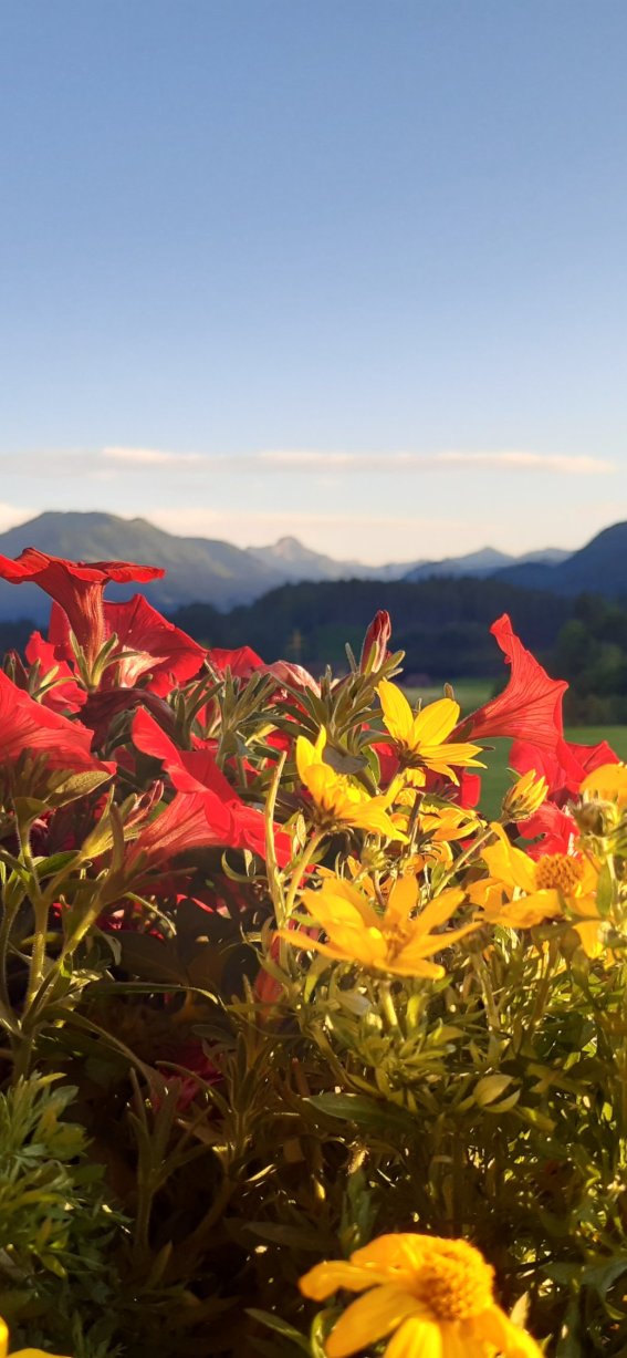 Blick nach Süd-West vom Balkon