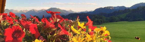 Blick nach Süd-West vom Balkon