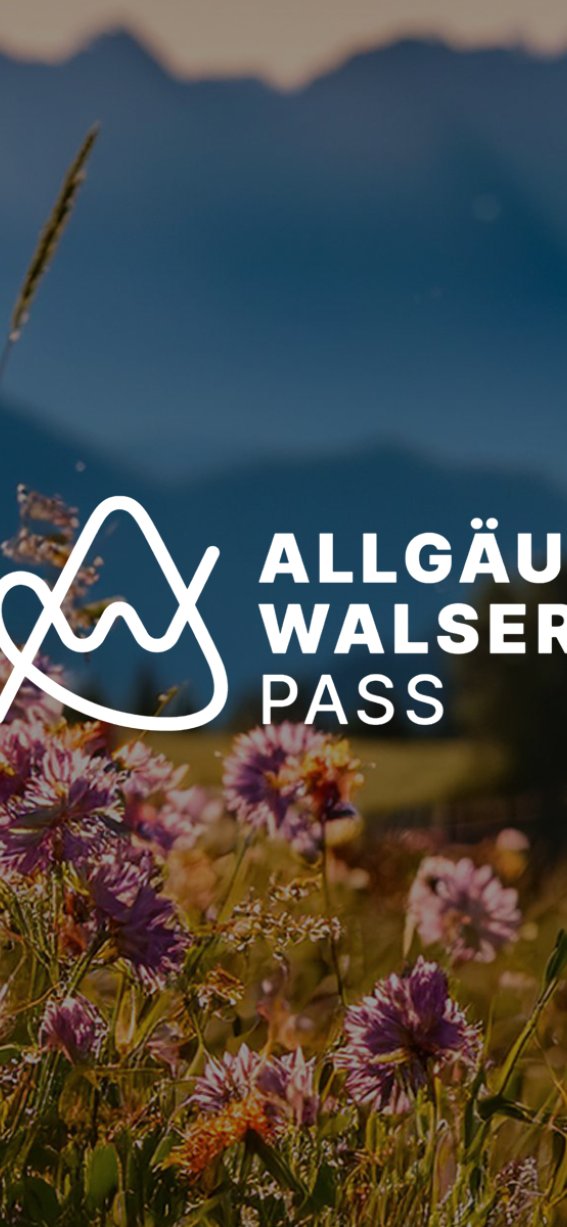 Die Szene zeigt eine Blumenwiese im Allgäu. Im Hintergrund sind die Berge zu sehen. Es ist ein sonniger Tag.