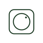 Instagram outline tannengruen