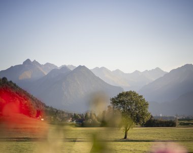 Blick vom Balkon