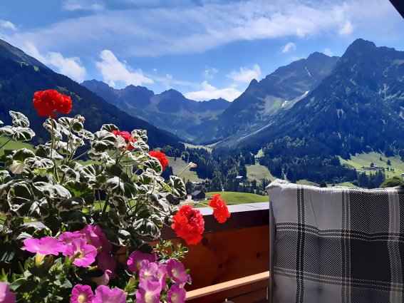 Ferienwohnung Edelweiss, Aussicht