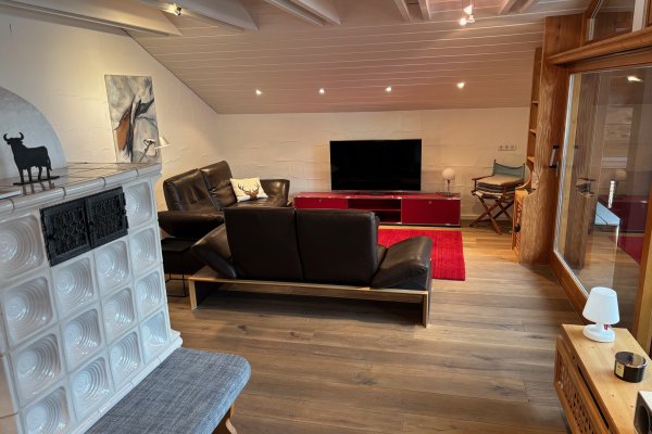 Kamin WZ NEU