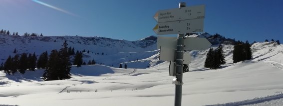 IMG 20181215 131323