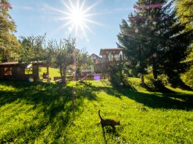 Unser Garten