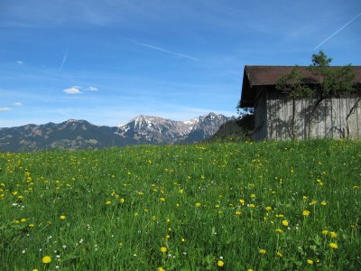 Frühling in Obermaiselstein