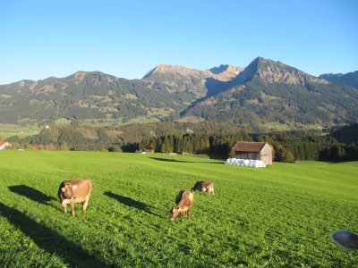Blick zum Rubihorn
