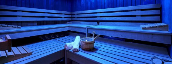 Header Wellness Sauna