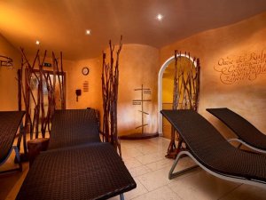 Wellness01