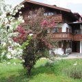 Haus im frühen Frühjahr