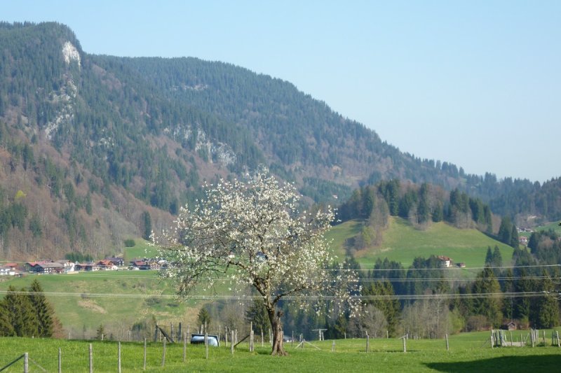 Ausblick im Frühling