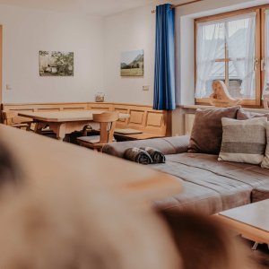 Gemütlicher Innenraum mit Sitzgelegenheit und Hund