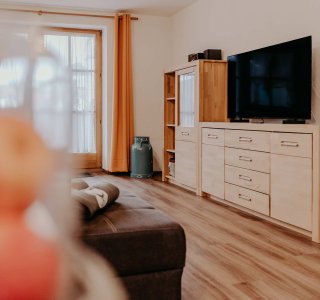 Der Raum zeigt ein Wohnzimmer mit einem Sofa, einem Fernseher und einem Holzschrank. Die Sonne scheint durch das Fenster.