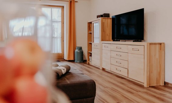 Der Raum zeigt ein Wohnzimmer mit einem Sofa, einem Fernseher und einem Holzschrank. Die Sonne scheint durch das Fenster.