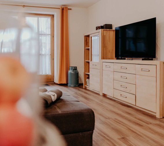 Der Raum zeigt ein Wohnzimmer mit einem Sofa, einem Fernseher und einem Holzschrank. Die Sonne scheint durch das Fenster.