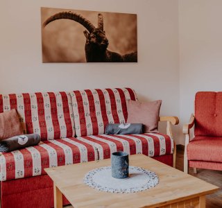 Eine gemütliche Sitzecke in einer Ferienwohnung mit einem Sofa und einem Tisch. Im Hintergrund ist ein Bild einer Ziege.