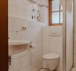 Im Badezimmer stehen ein Waschbecken, eine Toilette und eine Dusche. Helles Licht fällt durch ein Fenster.