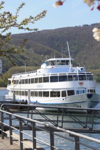 Ausflugsschiff am Kulturufer -Quelle-Tourist Information Bingen am Rhein