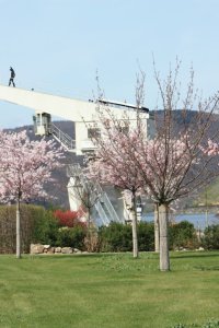Kulturufer Industriekran -  Quelle-Tourist Information Bingen am Rhein