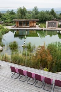 Csm Naturberich - Quelle - Rheinwelle - Die rheinhessische Wasserwelt