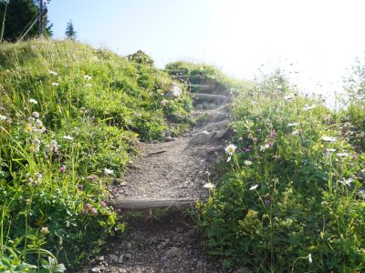 Wanderwegebau