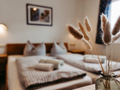 In einem einladenden Schlafzimmer stehen zwei Betten mit kissen. Dekorative Pflanzen sorgen für eine ruhige Atmosphäre.