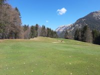 Kaum Winterflecken auf Grün 3