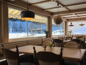 WhatsApp Image 2026-02-18 at 12.10.55